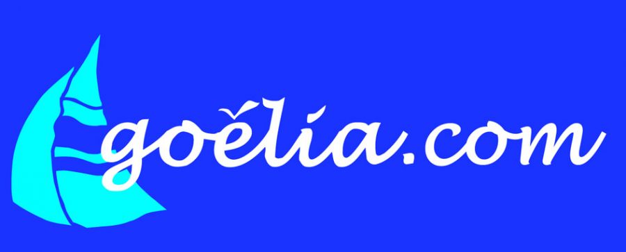 goeliacom_fond_bleu_leger